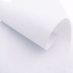 Вертикальные жалюзи  Рейн 3101 белый