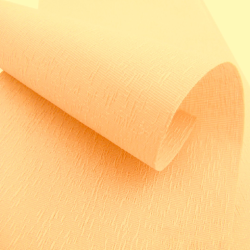 Вертикальные жалюзи Рейн 3108 персиковый Вертикальные жалюзи Рейн 3108 персиковый